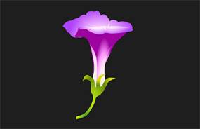 花朵生长过程flash植物动画